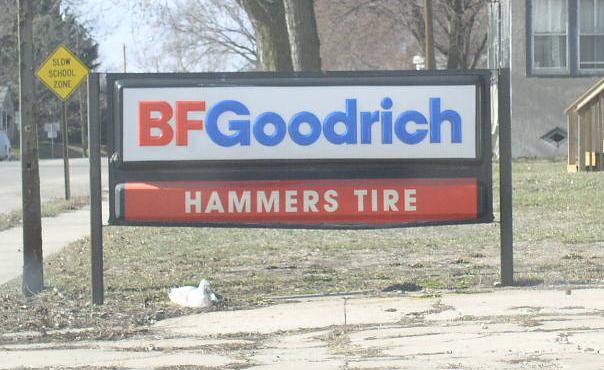 BF Goodrich